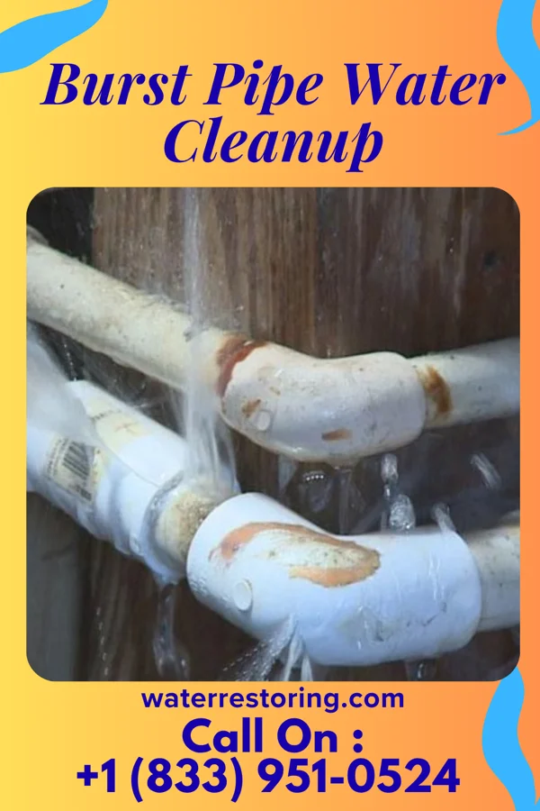 Burst Pipe Water Cleanup in Rapid City, SD