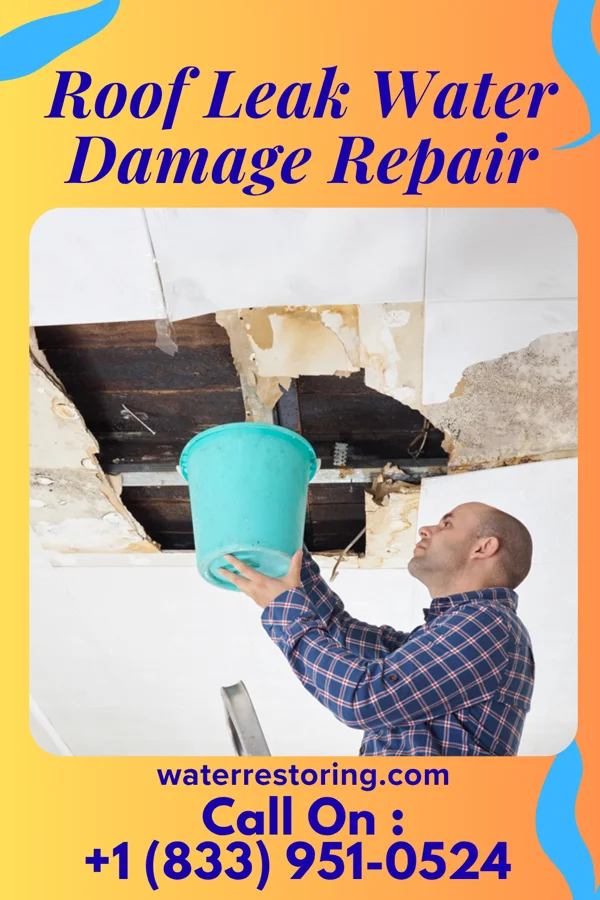 Roof Leak Water Damage Repair in Rapid City, SD
